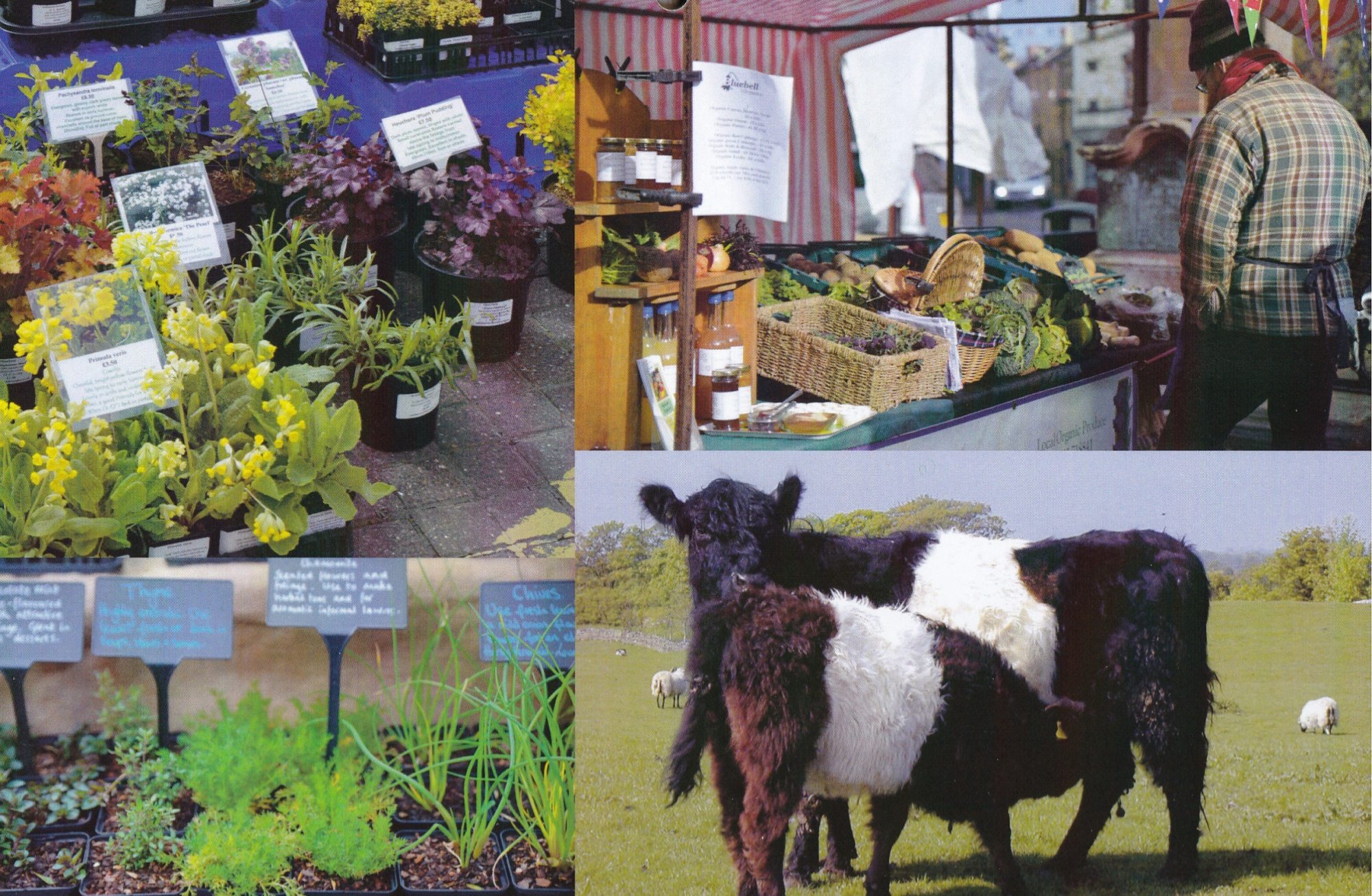 Hexham Farmers' Market Calendar 2020 Hexham Farmers Market