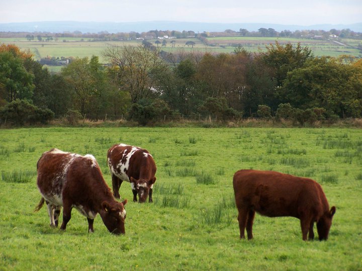 New Year new lockdown Hexham Farmers Market